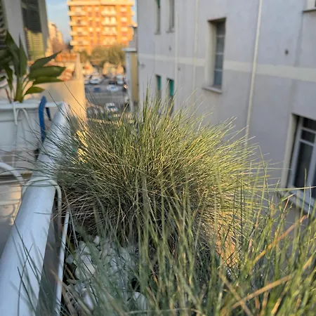 Okra Centro Pescara